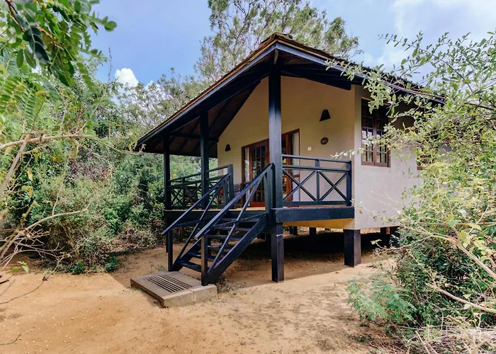 Cinnamon Wild Yala