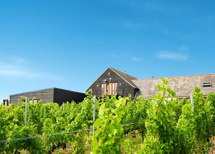 Mersea Island Vineyard