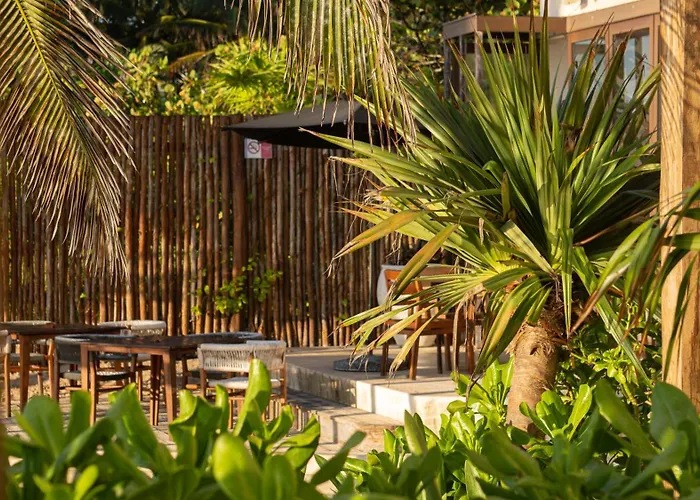 Nerea Tulum