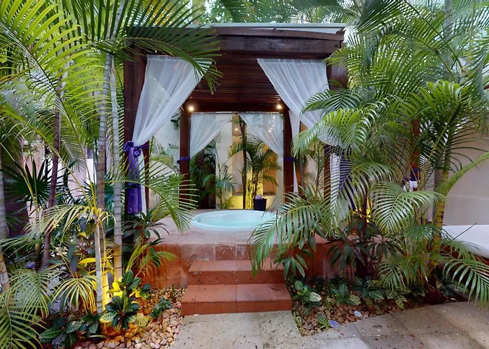 Oasis Palm