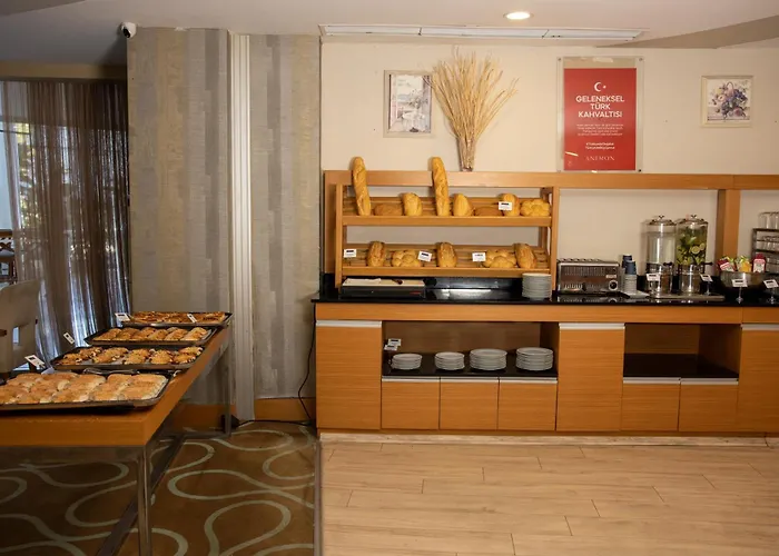 Anemon Grand Adana