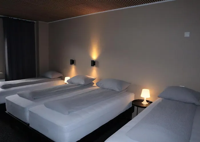 Blue Viking Guesthouse