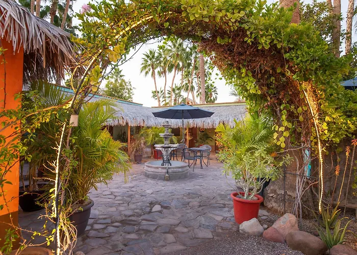 Iguana Inn