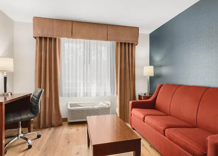 Comfort Inn & Suites Downtown City Center