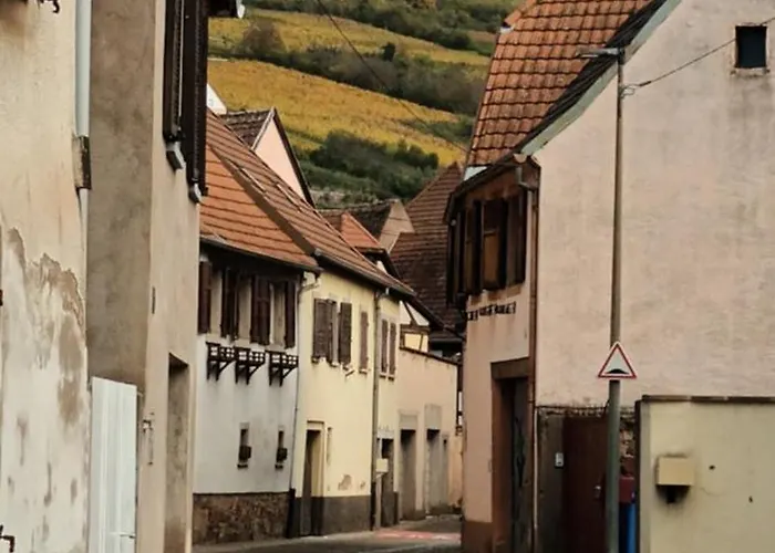 Au Jardin De La Maison Des Soeurs Mutzig
