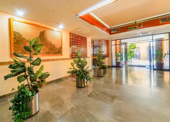Oyo Hotel Hidalgo