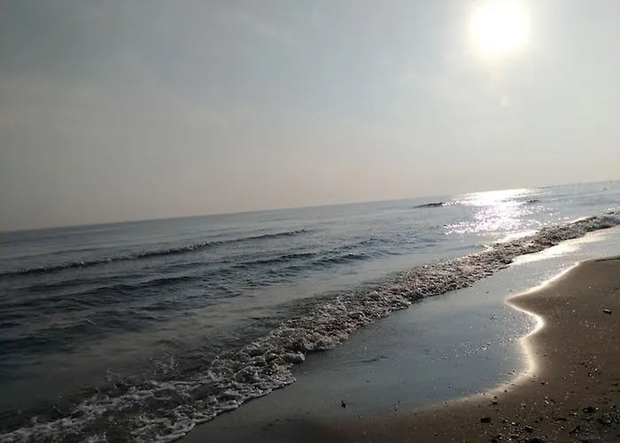 Hotel Kursaal - Fronte Mare Con Piscina Riccione