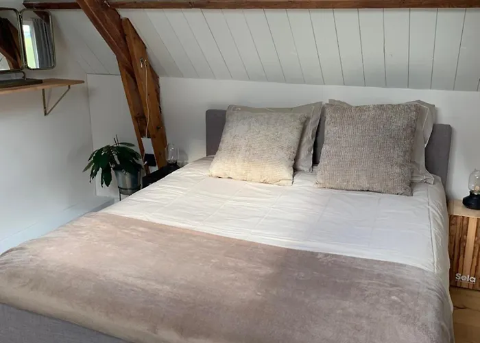B&B De Vrijbuiter