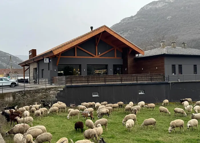 Hotel Cotiella Campo 
