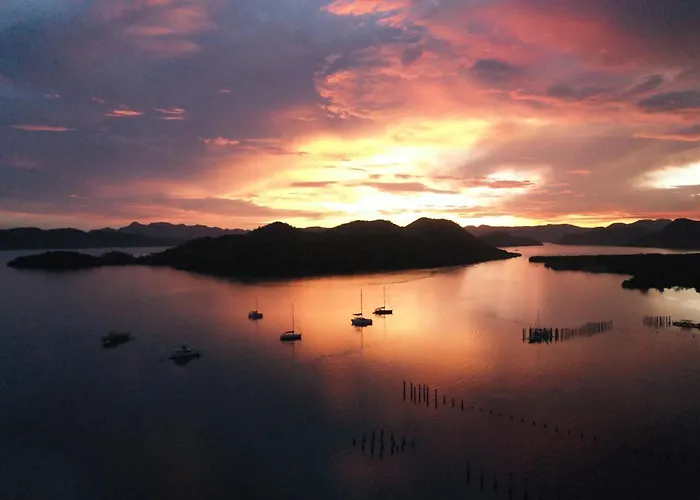 The Funny Lion - Coron Hotel