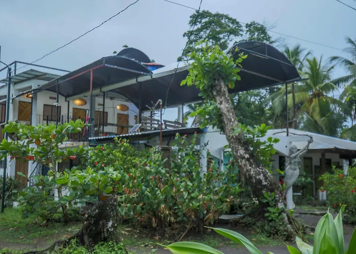 Hotel Pura Natura Beachfront Tortuguero