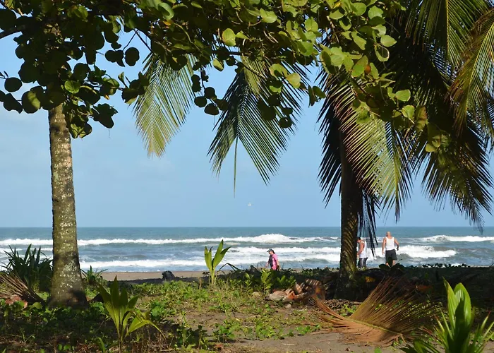 Pura Natura Beachfront