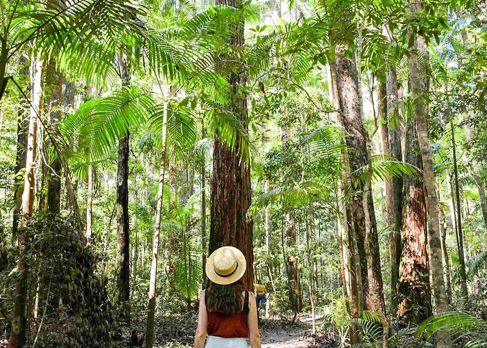 Kingfisher Bay Resort Fraser Island