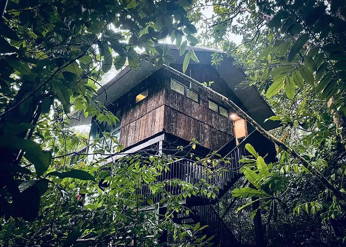 Permai Rainforest Resort