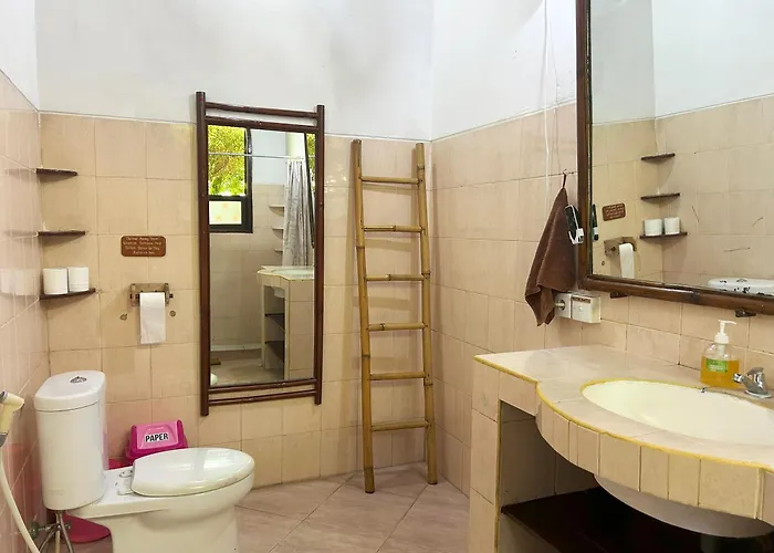Serenity Eco Guesthouse And Yoga- Chse Certified Canggu
