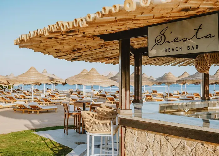 Baron Palms Adults Friendly Only 16 Years Plus Boutique Hotel Style Sharm El-Sheikh