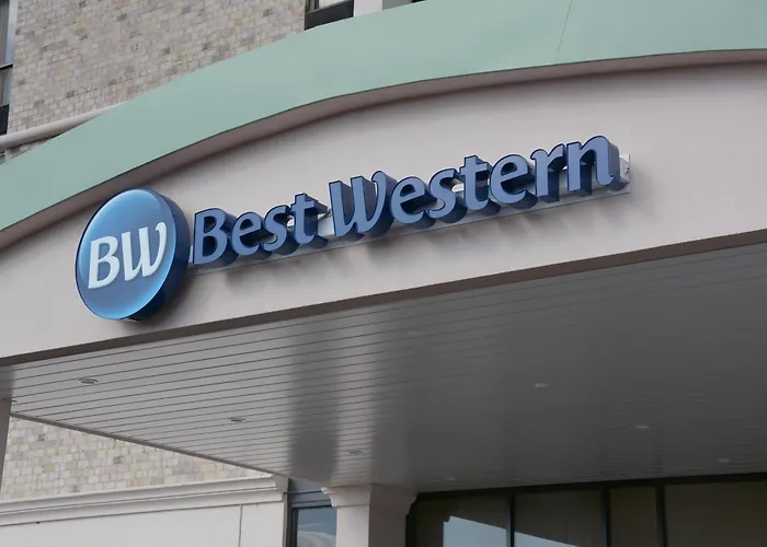 Best Western Executive New Haven-West Haven