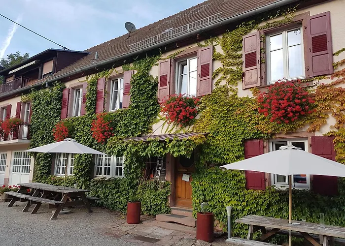 Hotel Du Haut Koenigsbourg- Entre Vignes Et Chateau