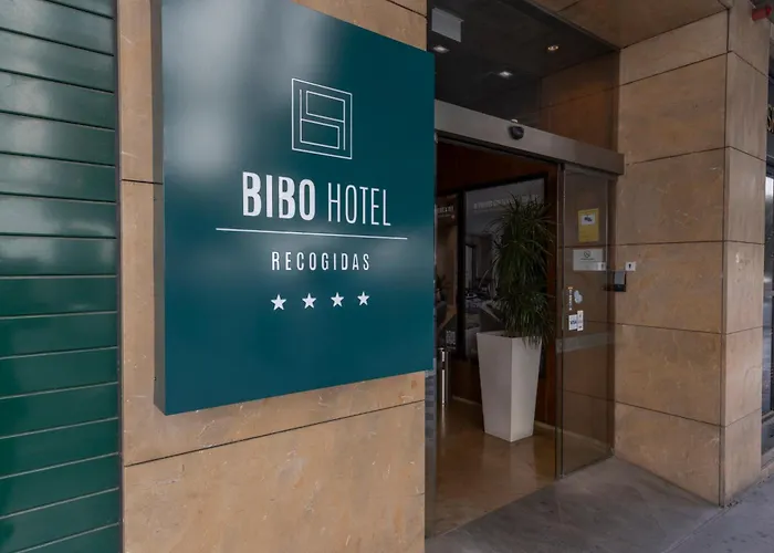 BIBO Recogidas