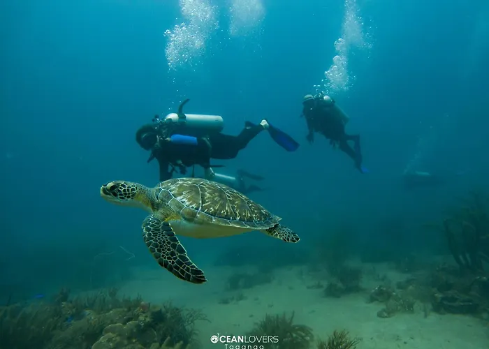 Ocean Lovers Taganga - Padi Dive Center & Hostel