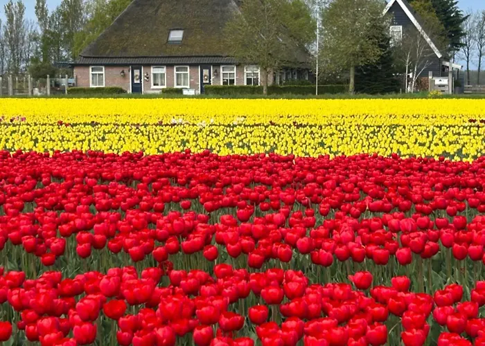 B&B Idylle Aan Zee Incl 2 Wellnessstudios