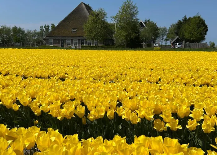 B&B Idylle Aan Zee Incl 2 Wellnessstudios
