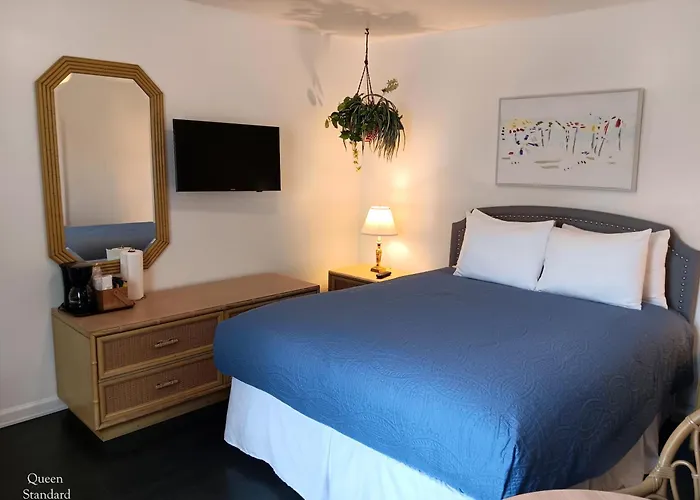 The Cozy Inn