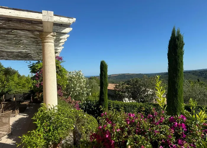 Domaine Picasso