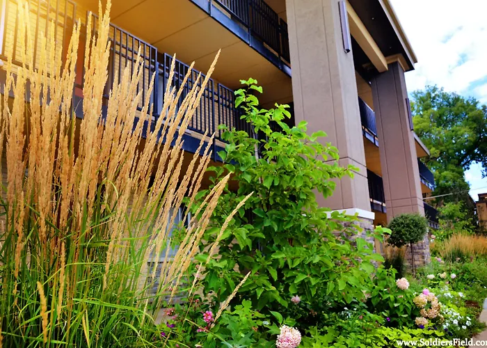 Centerstone Plaza Soldiers Field - Mayo Clinic Area
