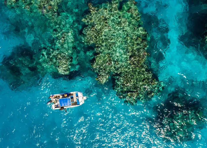 Nukubati Great Sea Reef