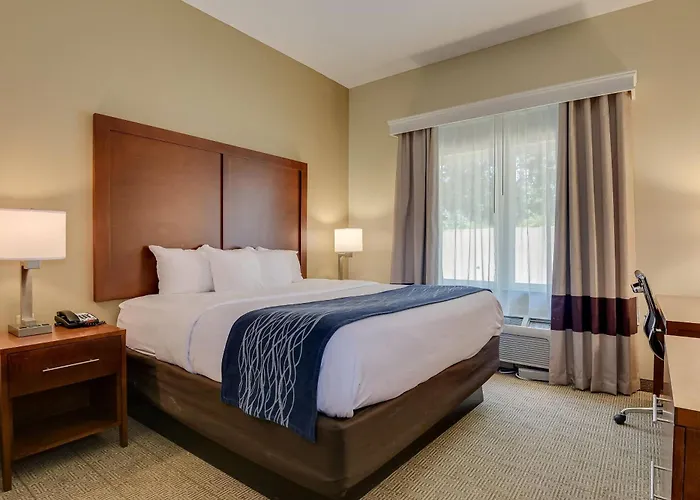 Comfort Inn & Suites Augusta Fort Gordon Area