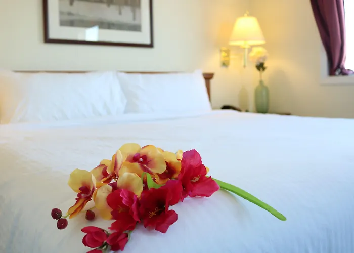 Nomad & Suites