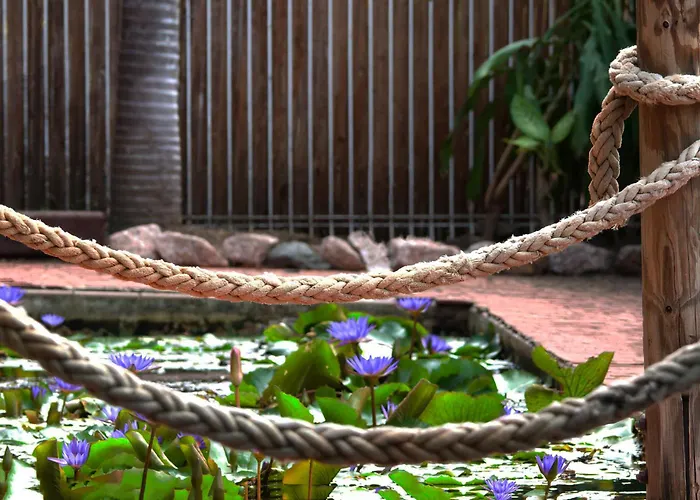 Hotel Tropiq Cairns