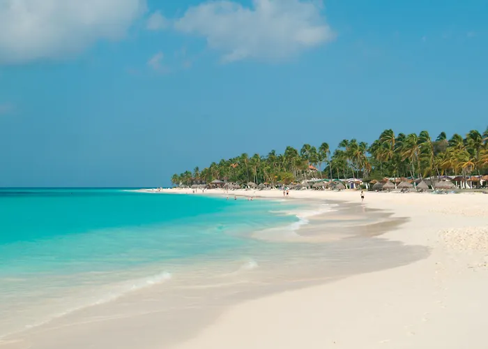 Divi Aruba All Inclusive Divi Beach