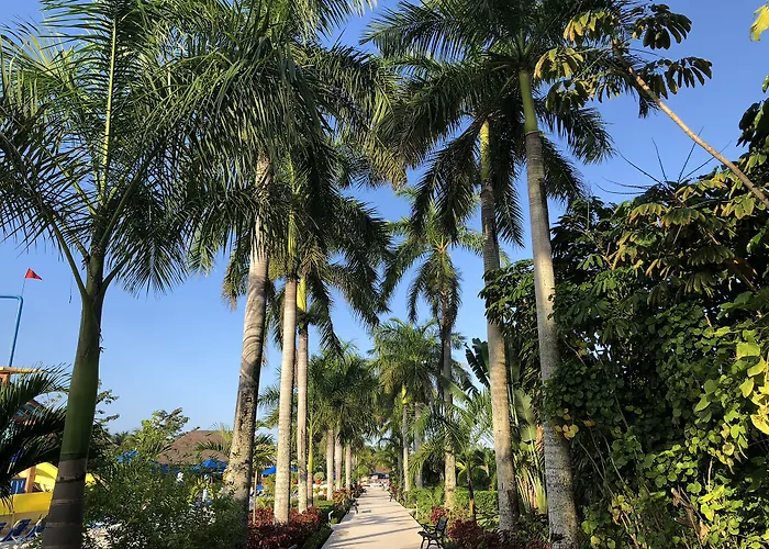 Allegro Cozumel All-Inclusive