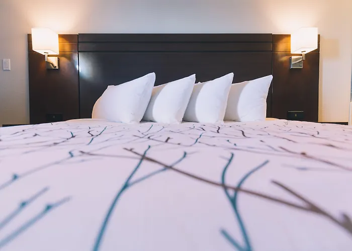 Service Plus Inns And Suites