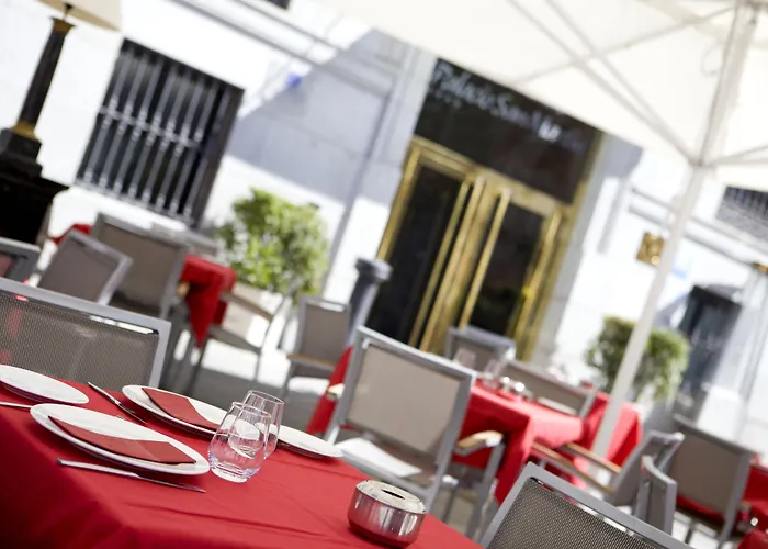 Intelier Palacio San Martin