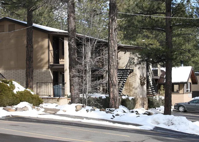 Motel In The Pines