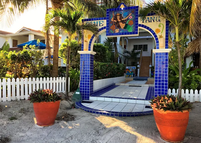 Blue Tang Inn - Beachfront Suites And Pool San Pedro 
