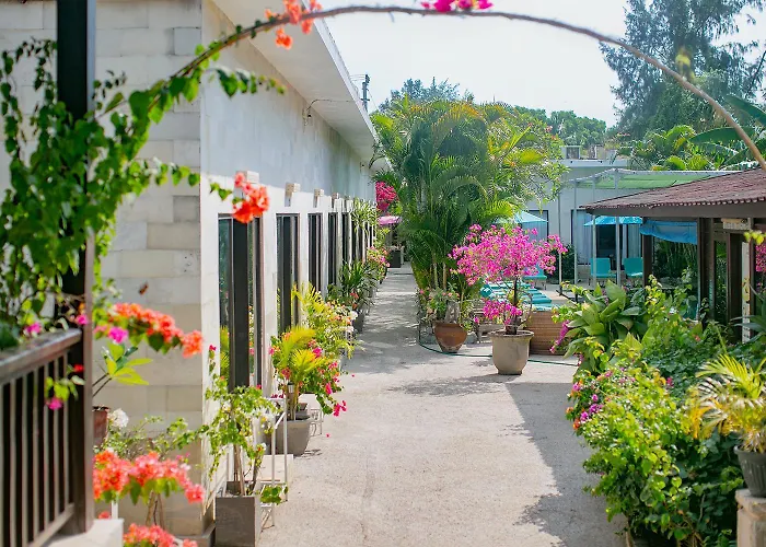 Kura Kura Resort Gili Meno