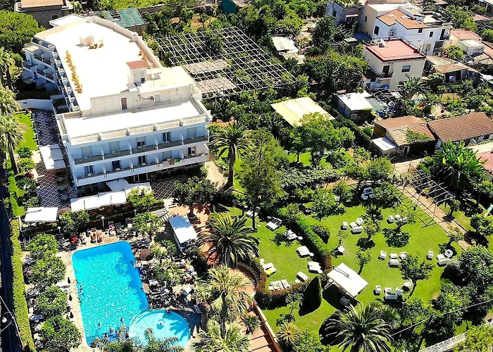 Hotel Alpha