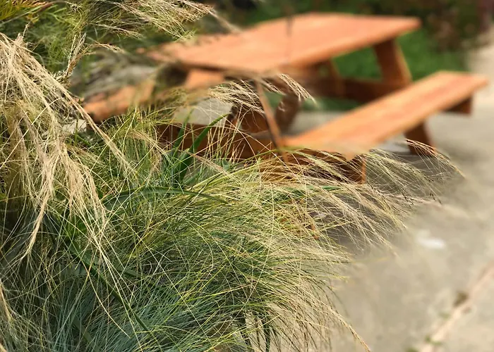 Bodega Bay Inn