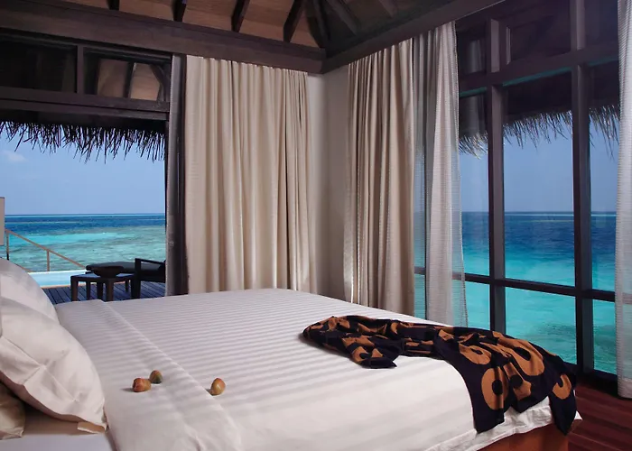 Coco Bodu Hithi - Stay 4 Nights Or More And Enjoy 30 Percent Off Shared Roundtrip Speedboat, Valid For Stays Until 31St August 2026
