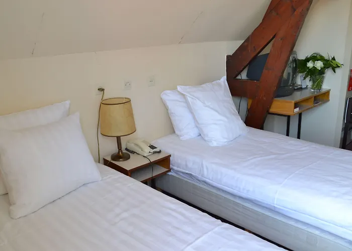 Fletcher Hotel De Zalm Brielle