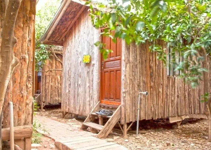 Bayrams Tree Houses Olympos