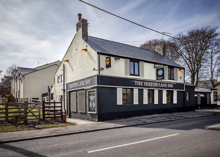 Seaton Lane - The Collection Group