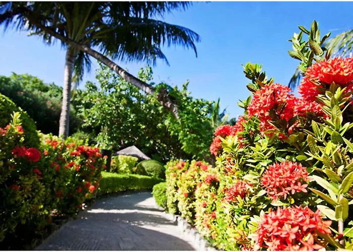 Hotel Adaaran Prestige Vadoo (Adults Only) Vadoo Island