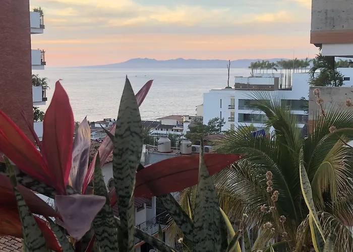 Hotel Amaca Puerto Vallarta - Adults Only