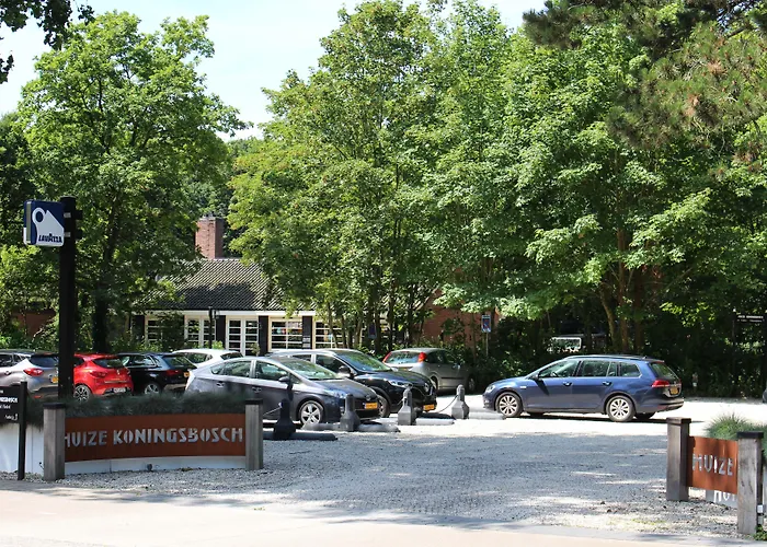 Zoomers Aan Het Bos