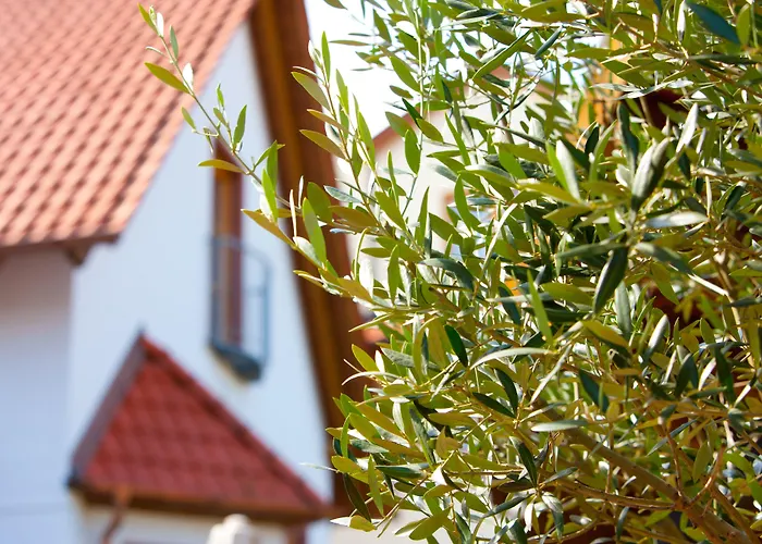 Pfalzhotel Asselheim